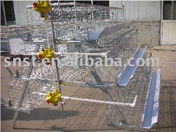 Layer Chicken cage of poultry equipment